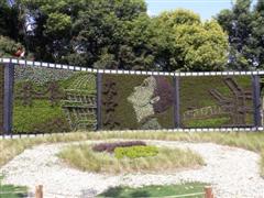 Topiary Photos